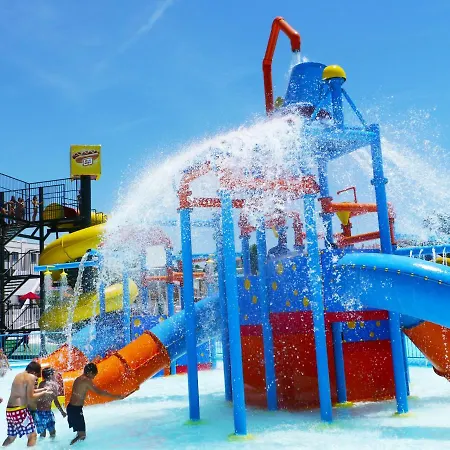 Family - La Torre טורה דל מאר